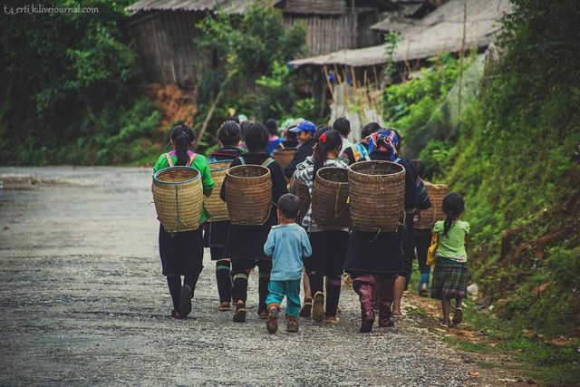 Фотограф показав незвичайні пейзажі далекого В'єтнаму - фото 185181