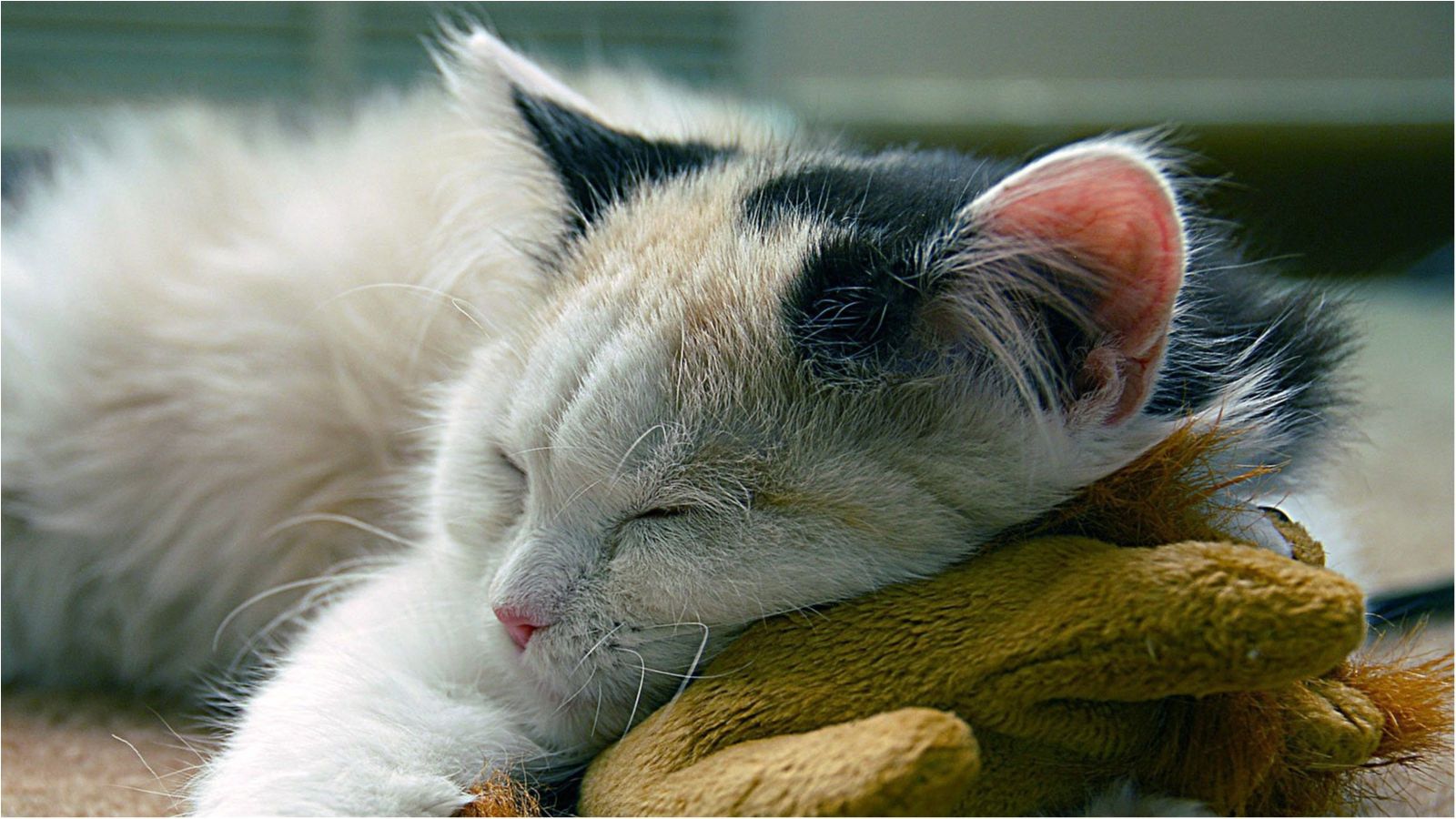 Як просто і швидко побороти безсоння?