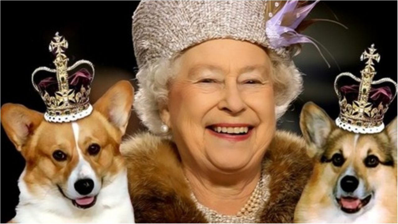 Улюбленці королеви - фото 1