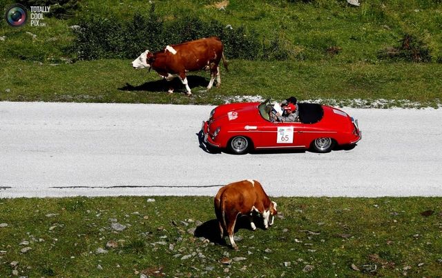 Змагання класичних авто в Альпах, на які можна дивитися вічно - фото 184914