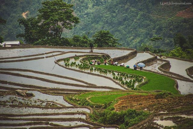 Фотограф показав незвичайні пейзажі далекого В'єтнаму - фото 185188
