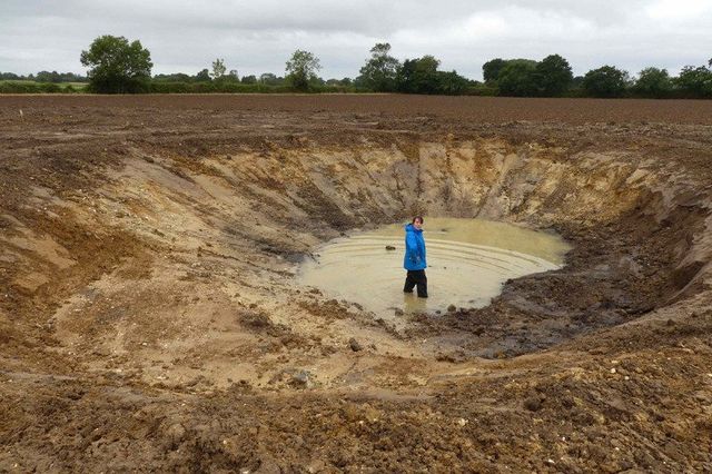 Ставок із насінням - фото 181828