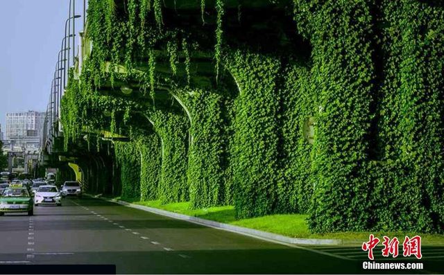 Як виглядає "тунель кохання" у Китаї - фото 181480