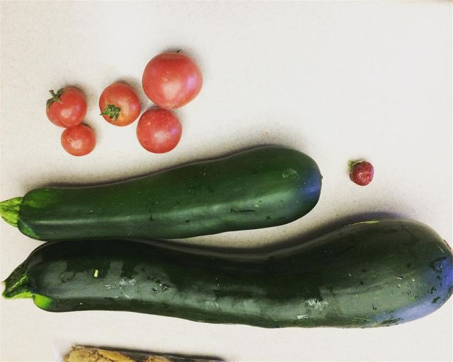 Дієтологи розповіли про неймовірну користь кабачків - фото 181759