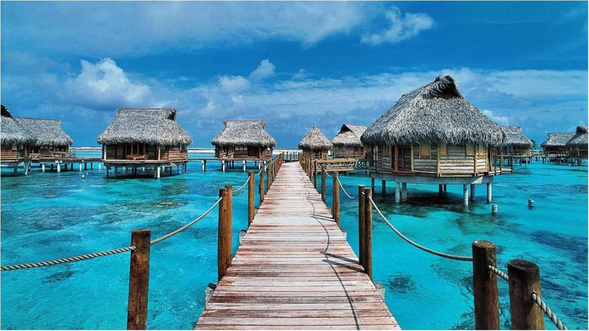 Рай :) - фото 1