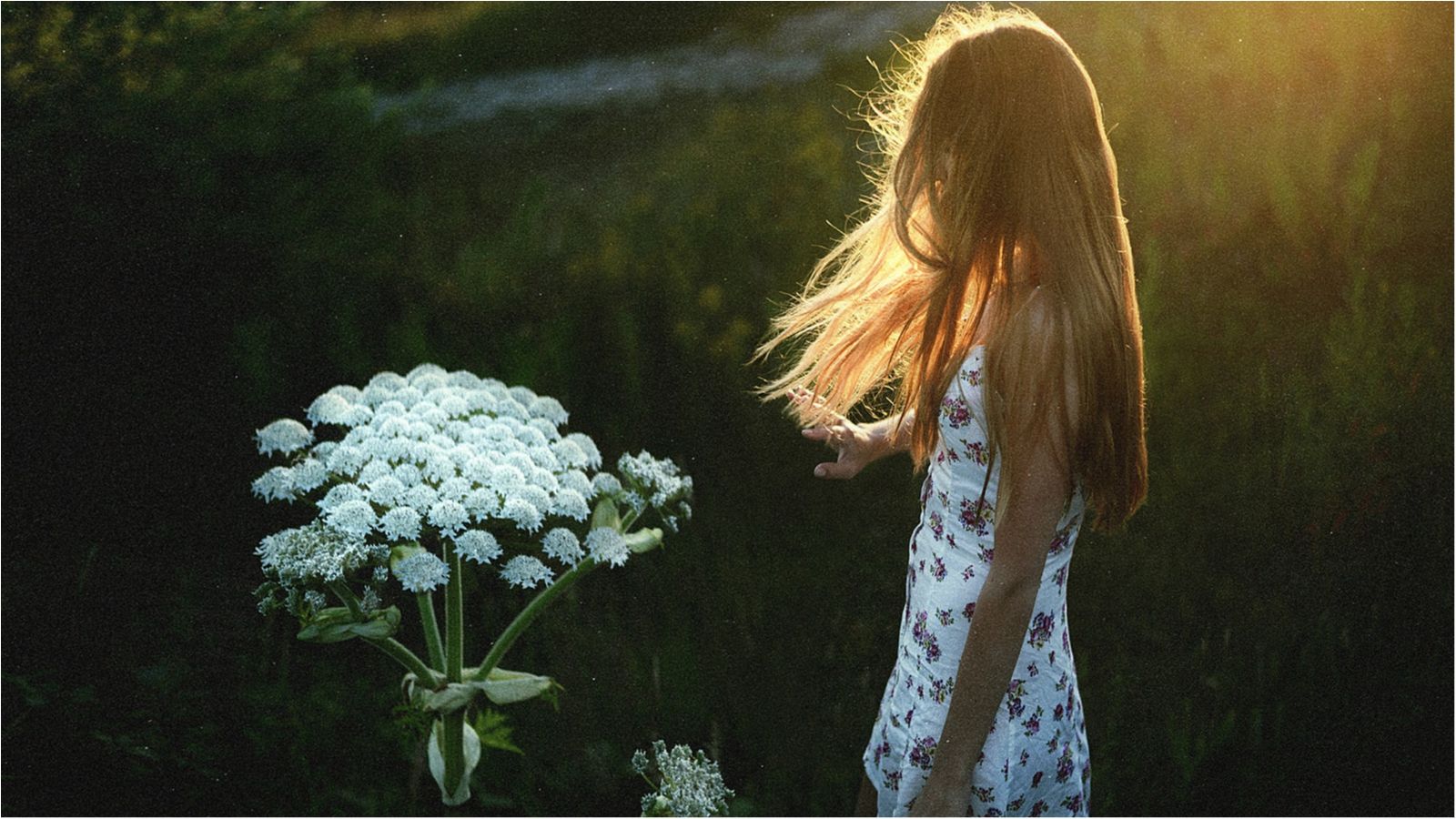 Медики розповіли про головні корисні властивості вітаміну Е