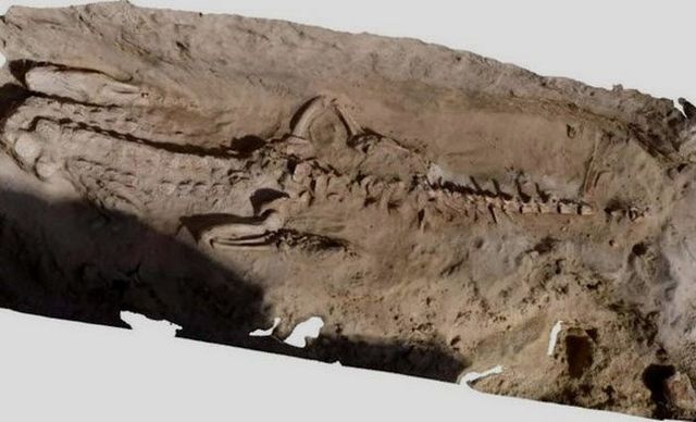 Таємничі артефакти, які вас здивують - фото 183281