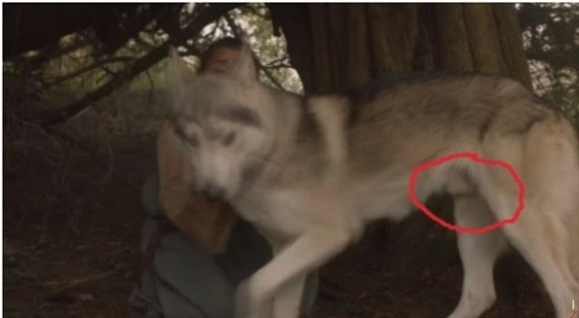 10 ляпів у "Грі престолів", яких ви точно не помітили - фото 181322