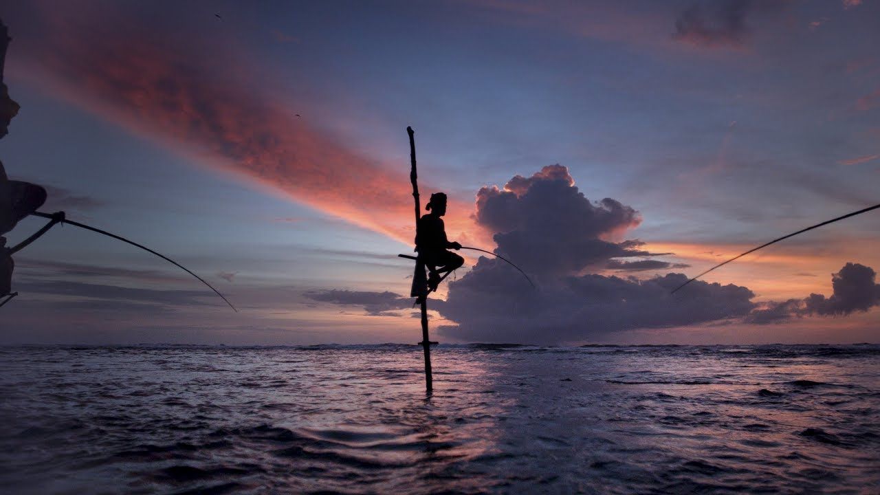 Трейлер фільму "Пробудження" про красу Землі підкорив мережу: ви маєте це побачити!