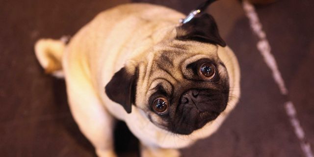 Ці 10 помилок вбивають ваші стосунки на самому початку - фото 179393