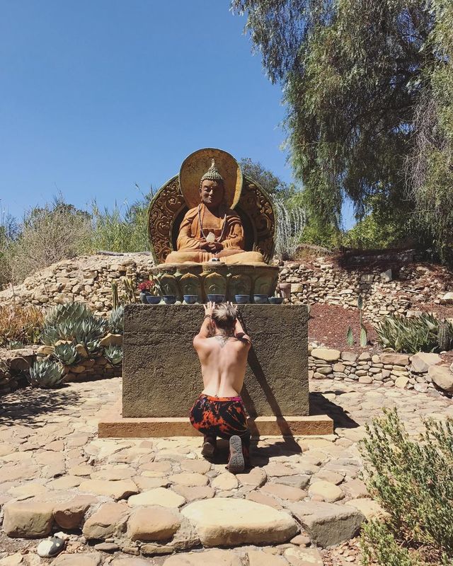 Періс Джексон - фото 185434