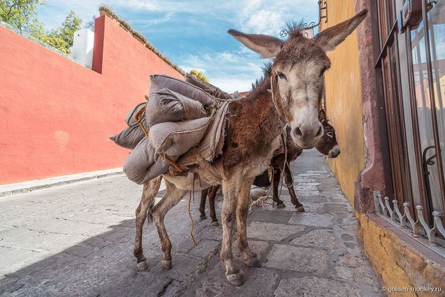 Як виглядають найкращі міста для подорожей - фото 181431