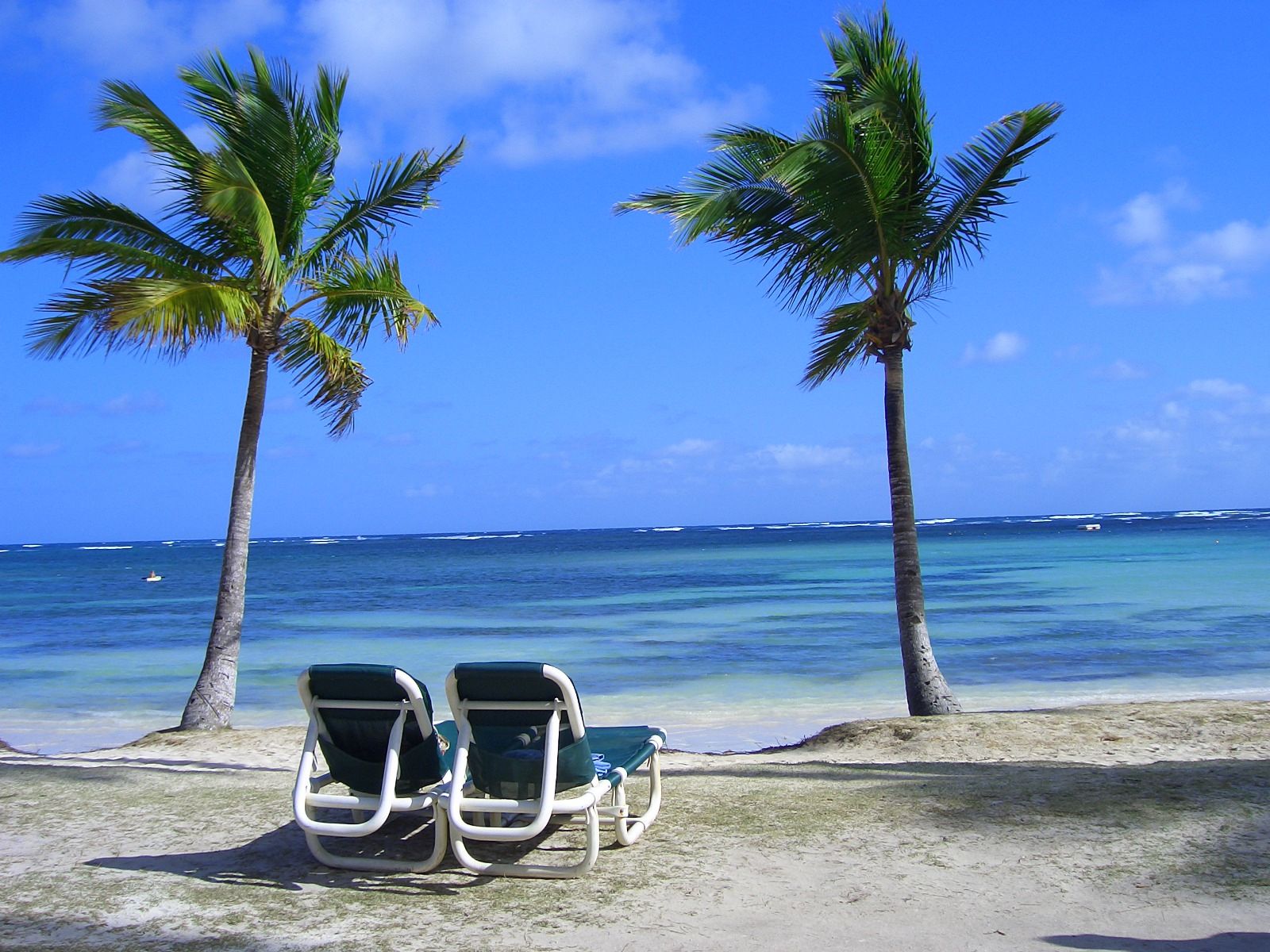 У Google з'ясували, де українці відпочивають влітку