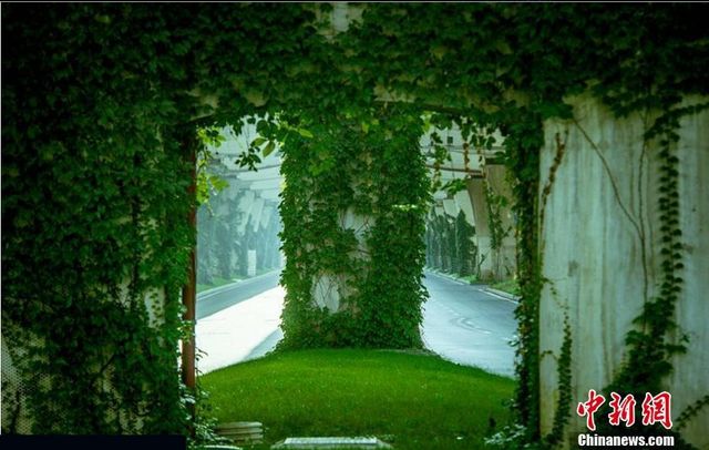 Як виглядає "тунель кохання" у Китаї - фото 181481