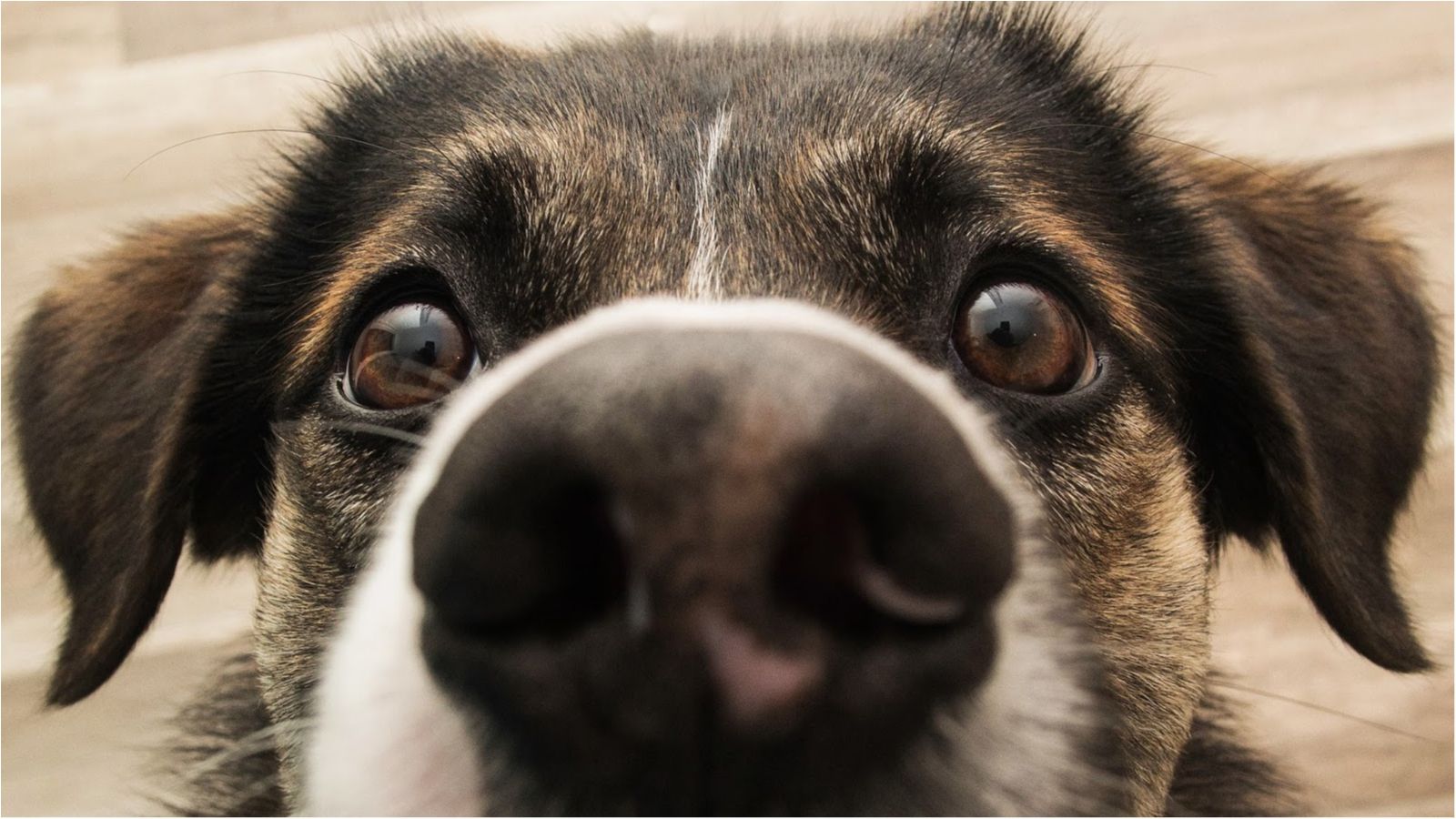 Милаха :3 - фото 1