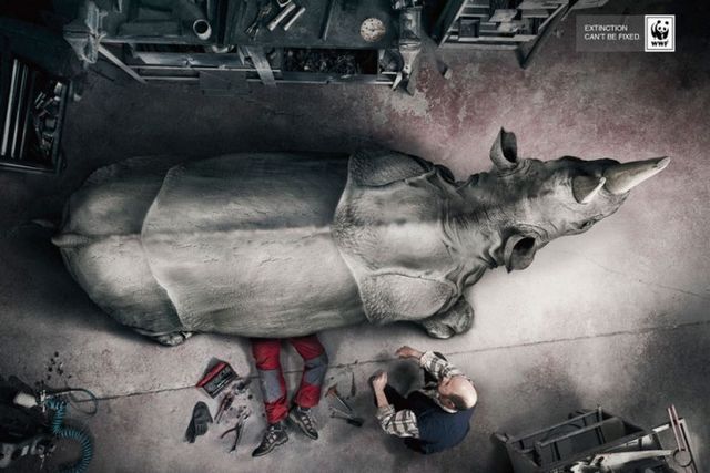 Потужна соціальна реклама про тварин, яка змушує замислитись - фото 183400