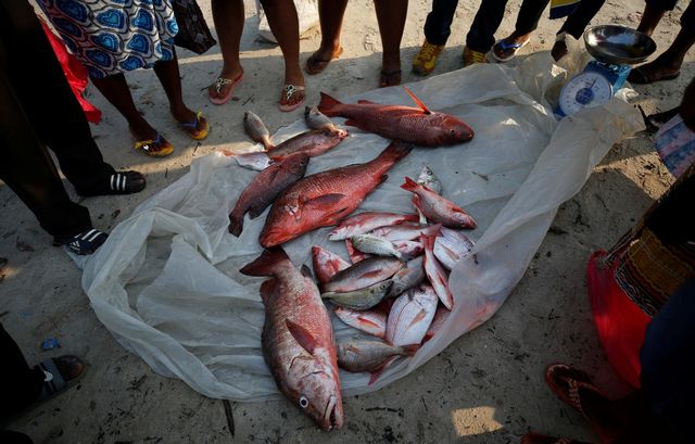 Звичайні будні у колишній колонії Франції: вражаючі фото - фото 180849