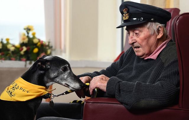 Найкращі роботи конкурсу Dog Photographer-2017: яскраві фото - фото 180075