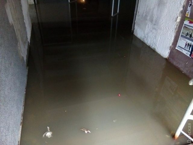 Злива в Одесі: у мережі показали жахливі наслідки - фото 181046