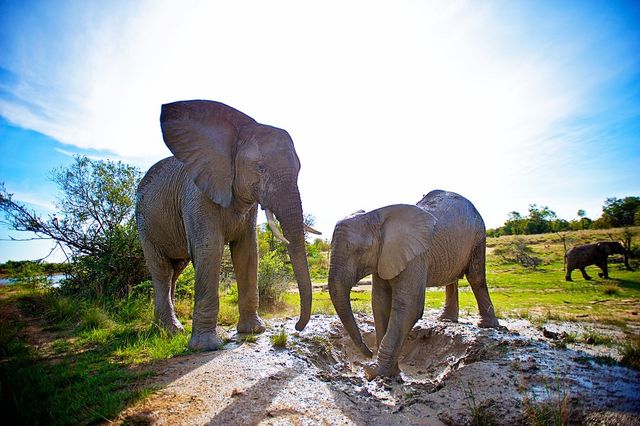 squarespace - фото 182101