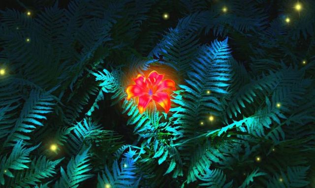 Чарівний цвіт папороті - фото 179204