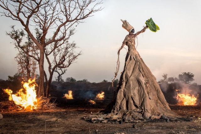 Фотограф одягнув моделей в сукні зі сміття - фото 182611