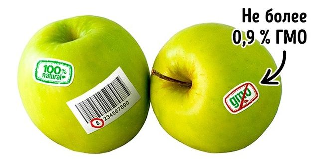 Три прості способи відрізнити ГМО від звичайних продуктів - фото 184212
