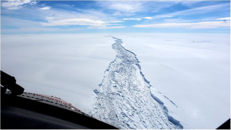 Larsen C - фото 1