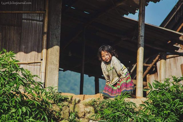 Фотограф показав незвичайні пейзажі далекого В'єтнаму - фото 185180