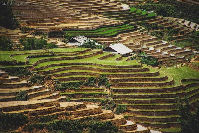 Фотограф показав незвичайні пейзажі далекого В'єтнаму - фото 185179