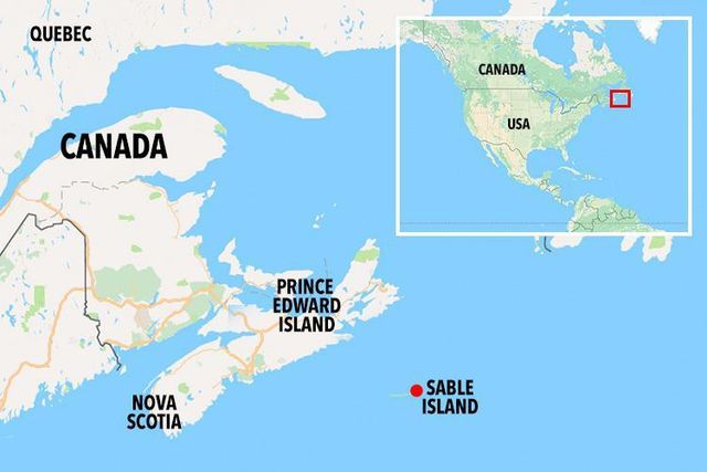 Знайомтеся – ця жінка 40 років живе на безлюдному острові: фоторепортаж - фото 184641