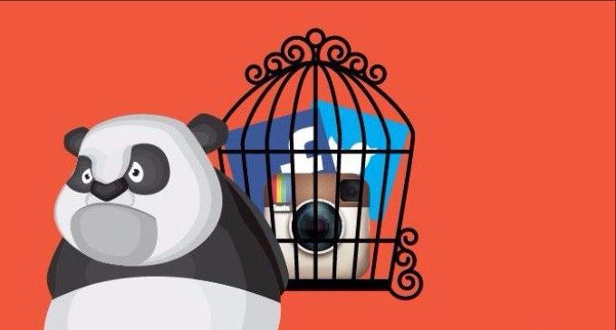 Халепа - фото 1