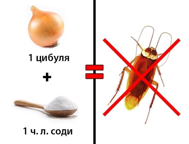 Три прості і безпечні способи позбутися від комах у будинку - фото 178509