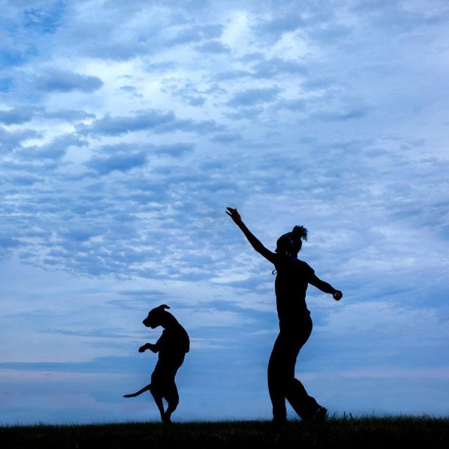 Американець рятує безпритульних собак зворушливими фото - фото 180783