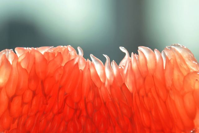 Знак Зодіаку впливає на ваші смакові вподобання - фото 181942