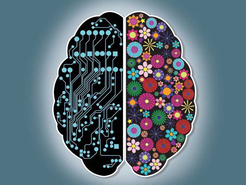 Як всі відомі нам слова розподіляються у мозку?