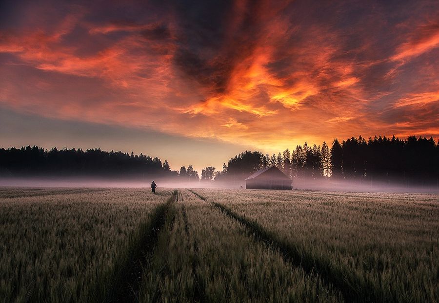 Вечірні пейзажі, від яких перехоплює дух: казкові фото