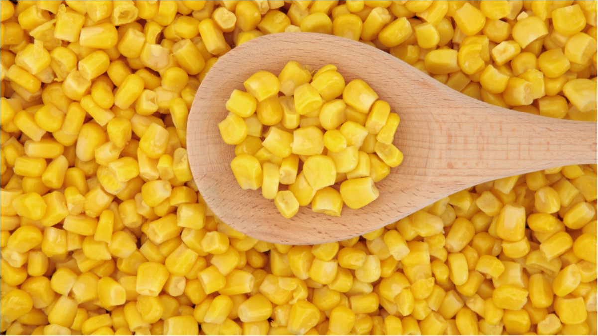 Corn - фото 1