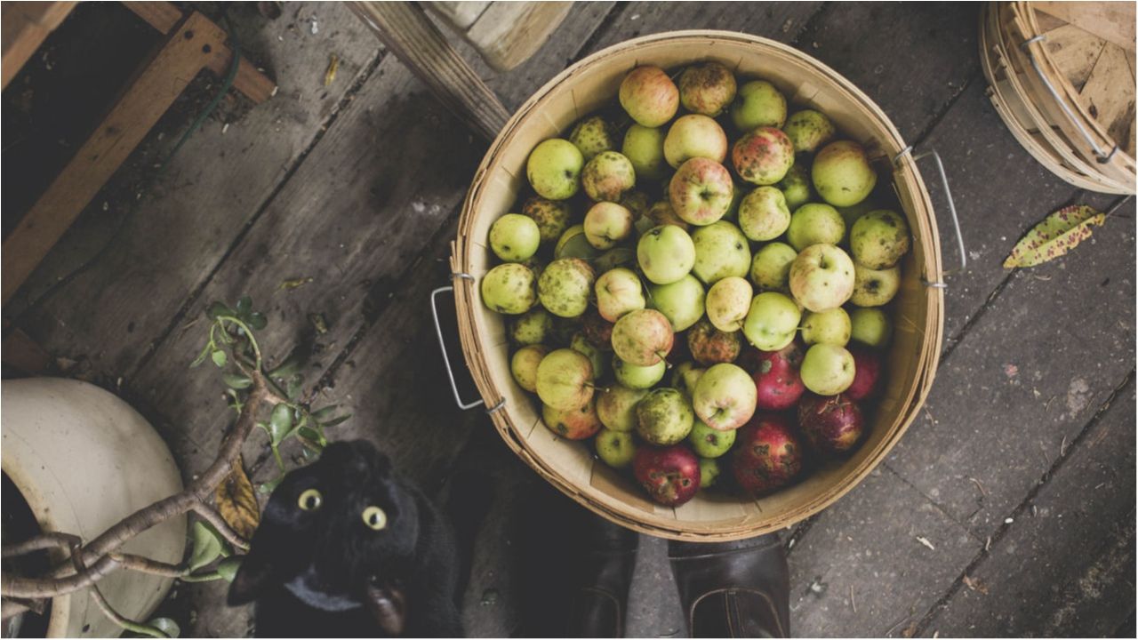 Ці продукти найкраще "очистять" вашу печінку