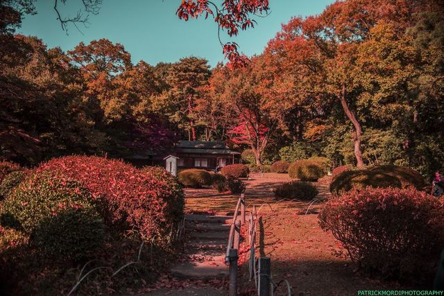 Вулицями чарівного Токіо: вражаючі фото - фото 181861