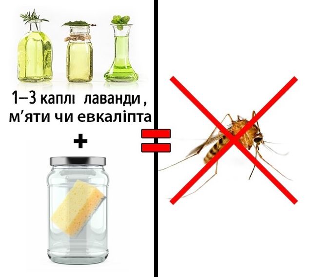 Три прості і безпечні способи позбутися від комах у будинку - фото 178511