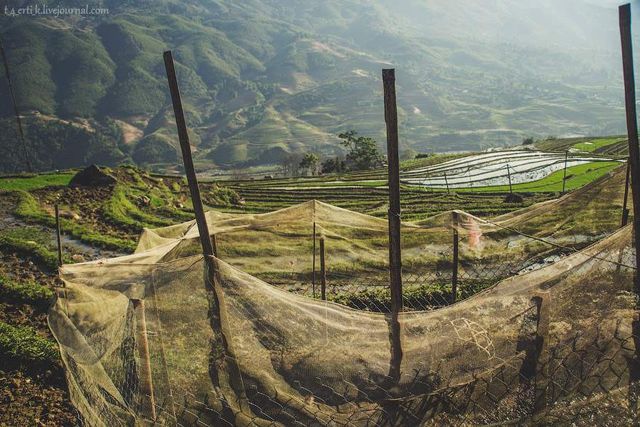 Фотограф показав незвичайні пейзажі далекого В'єтнаму - фото 185182
