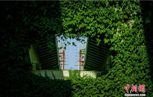 Як виглядає "тунель кохання" у Китаї - фото 181478