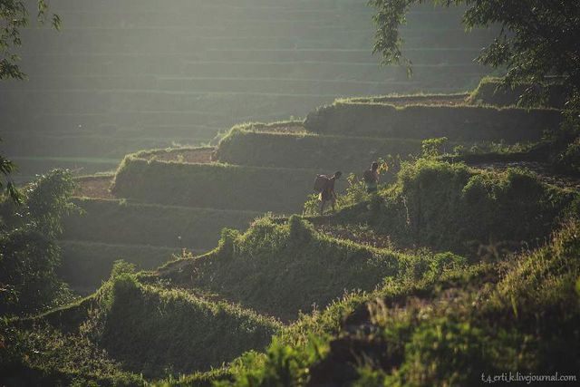 Фотограф показав незвичайні пейзажі далекого В'єтнаму - фото 185177
