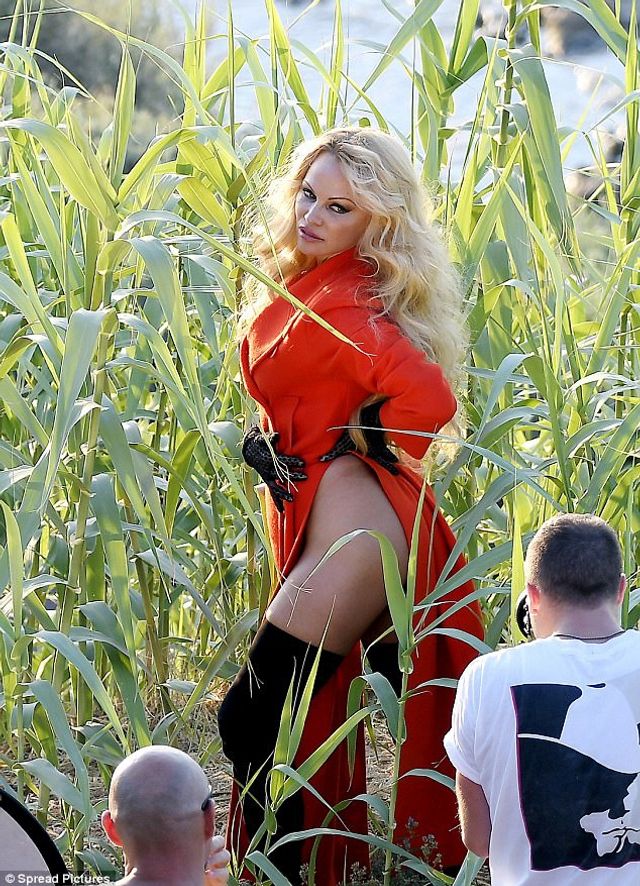 Фотосесія Памели Андерсон без білизни: пікантні фото - фото 183062