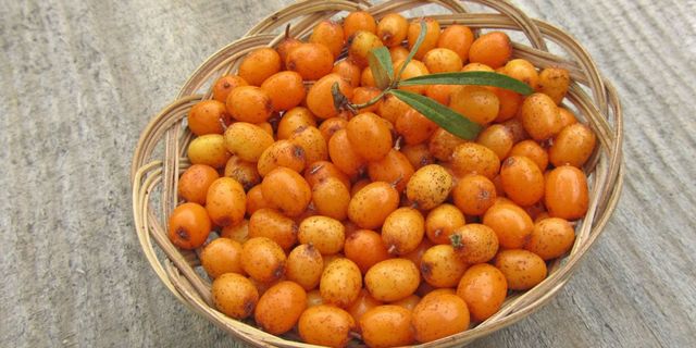 Медики розповіли про головні корисні властивості вітаміну Е - фото 179982