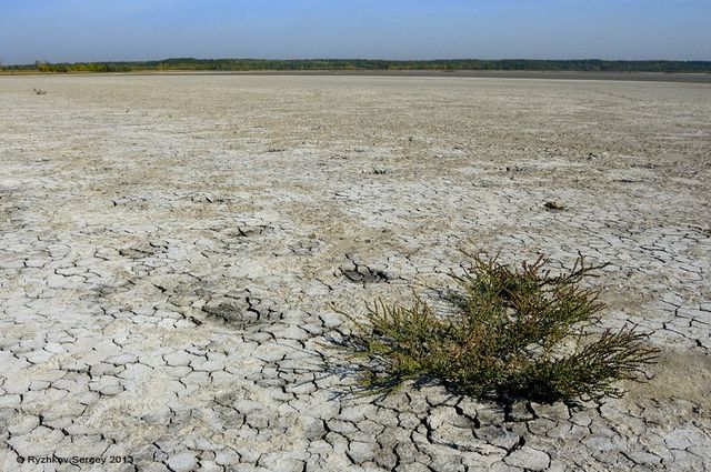Солоний лиман - фото 191067