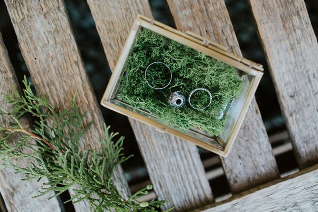 Пара вирішила не запрошувати фотографа: ось, що з цього вийшло - фото 189973