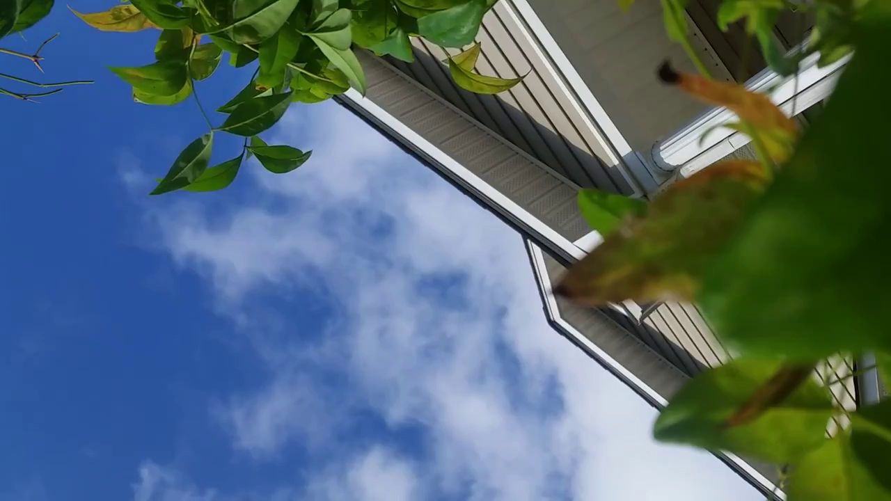 Samsung Galaxy S5 пережив падіння з літака: відеофакт