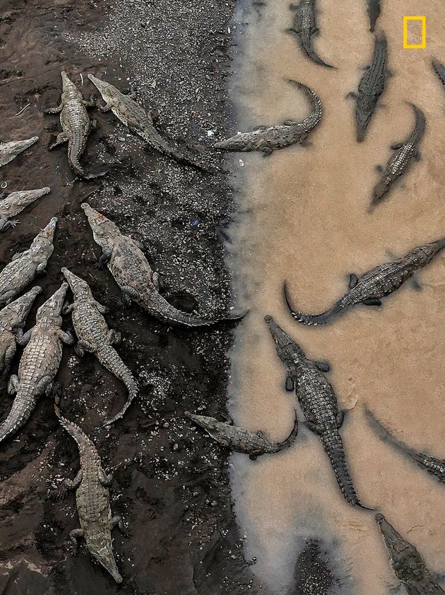 Перехоплює дух! National Geographic назвав найкращі фотографії 2017 року - фото 185949